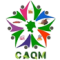 caqm.png